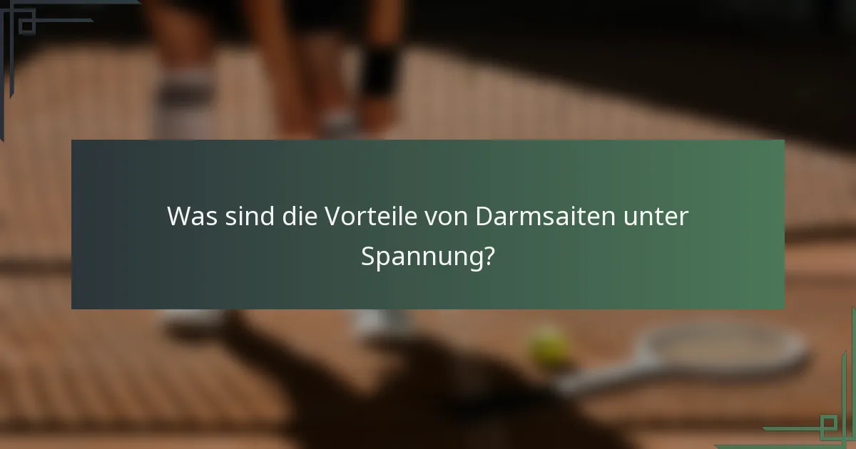 Was sind die Vorteile von Darmsaiten unter Spannung?
