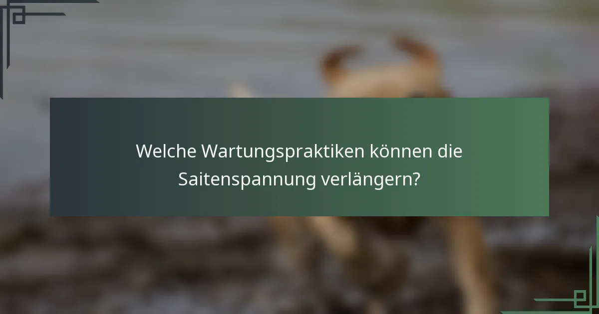 Welche Wartungspraktiken können die Saitenspannung verlängern?