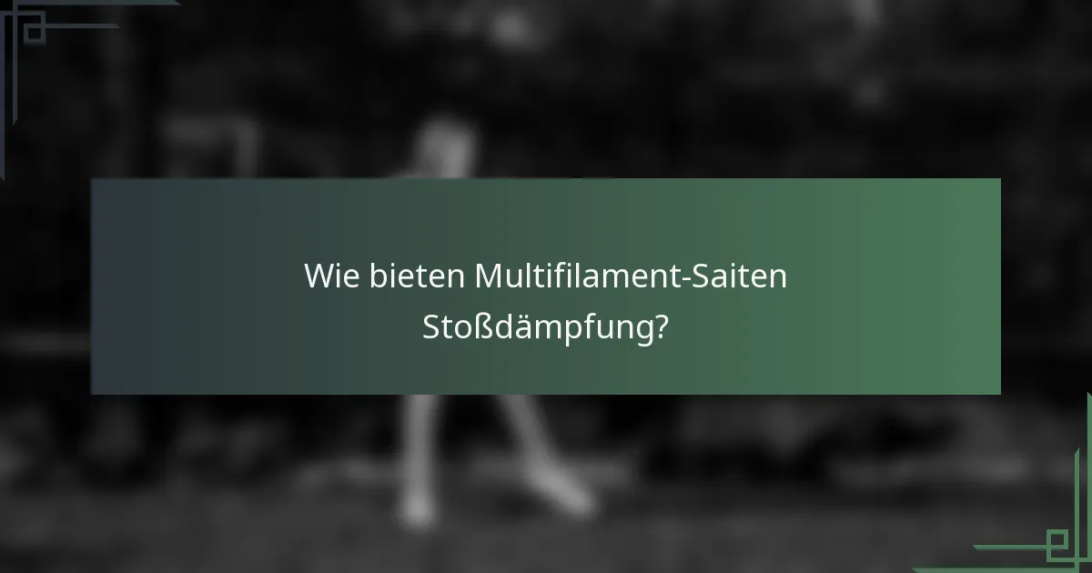 Wie bieten Multifilament-Saiten Stoßdämpfung?