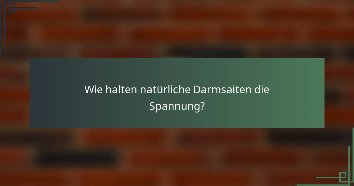 Wie halten natürliche Darmsaiten die Spannung?